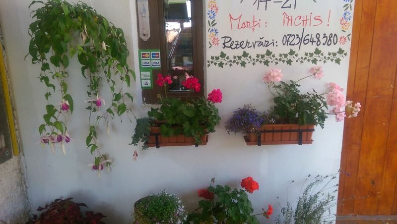 סינאיה Bistro-Pension La Teleferic מראה חיצוני תמונה
